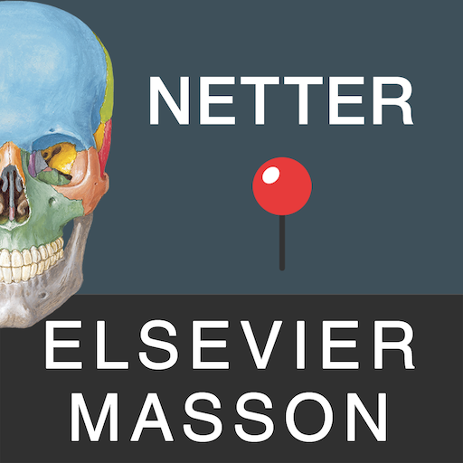 Mémofiches Anatomie Netter  Icon