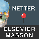 Mémofiches Anatomie Netter 1.8.3 APK تنزيل