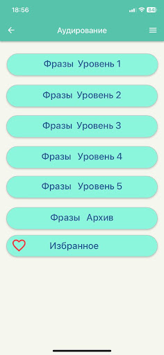 LinguaSonic Screen 3