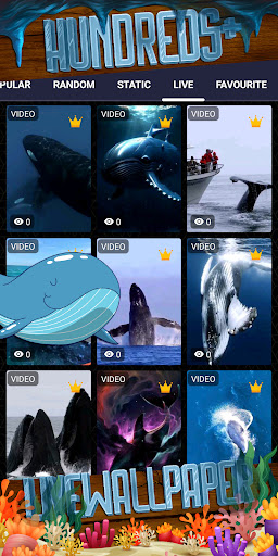 whale wallpaper Screenshot 3 - AppWisp.com