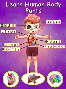 Kids Body Parts Learning Screenshot