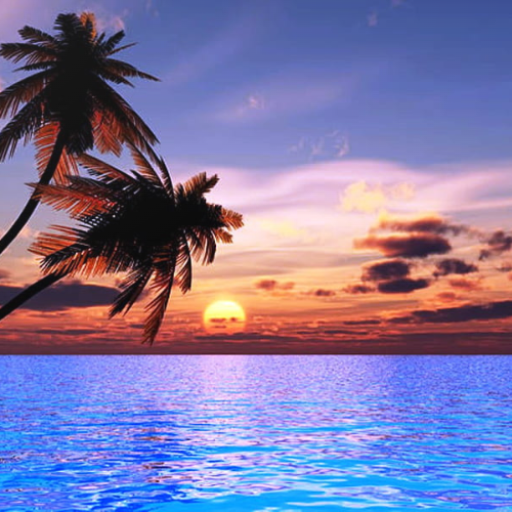 Beach Sunrise Sunset Wallpaper – Aplicații pe Google Play