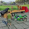 Animal Transport in Truck Game icon