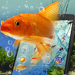 Cover Image of Télécharger Aquariums launcher theme &wallpaper release_2.2.7 APK