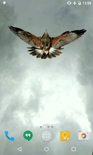Eagle Live Wallpaper Screen 3