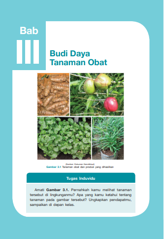 SMP Prakarya Kelas 7  Semester