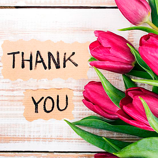 Thank You Sticker for WhatsApp logo