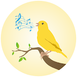 Canaries Birdsong icon