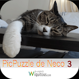 PicPuzzle de Neco 3 icon