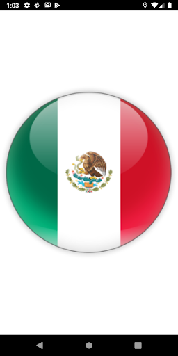 Constitución Política México