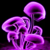 3D mushrooms icon