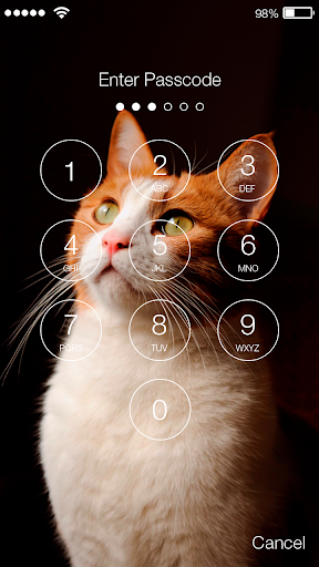 Cat Kitten Cute Animal Cats Pe Screenshot 2 - AppWisp.com