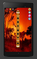 screenshot of Flute