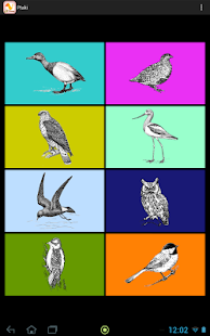 Polish Birds(圖3)-速報App