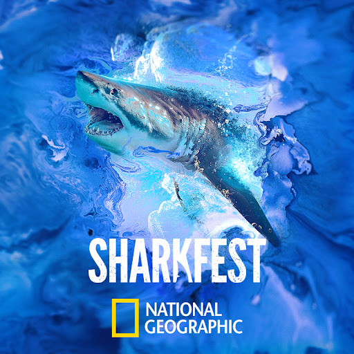 SharkFest Season 8 TV on Google Play