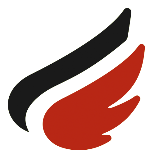 Revizor logo