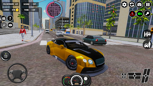 Billionaire Taxi Simulator