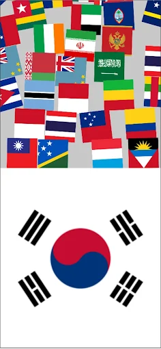 Perfect Flag - Screenshot 1