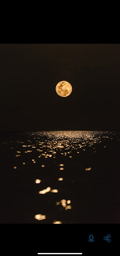 meditation music Screen 3
