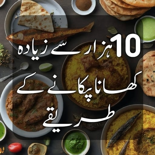 Pakistani Food Recipes Offline