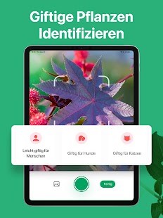 PictureThis Pflanzen bestimmen Screenshot