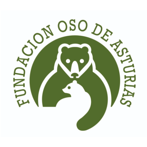 Meetingbears logo