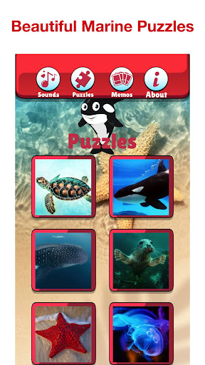 Angry Shark: Sea Animal Games Screen 3