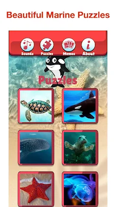 Angry Shark: Sea Animal Games - Screenshot 3
