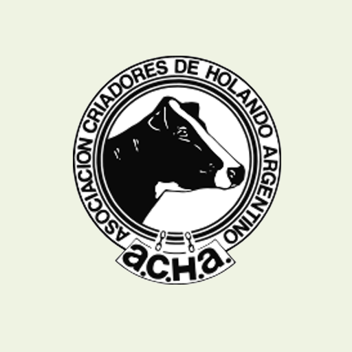 ACHA SICEL logo