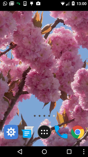 spring tree wallpaper Screen 2