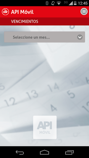 API Móvil Screen 3