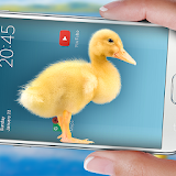 Duck in phone Quacking joke icon