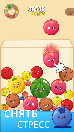 Game screenshot Fruit Merge Blast Puzzle hack