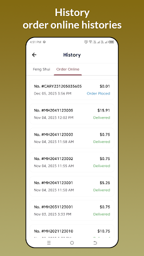 Master Long Feng Shui