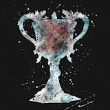 House Cup icon