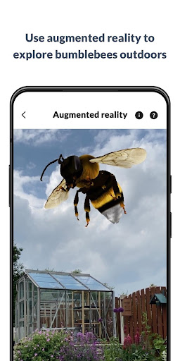 What’s that bumblebee Screen 3