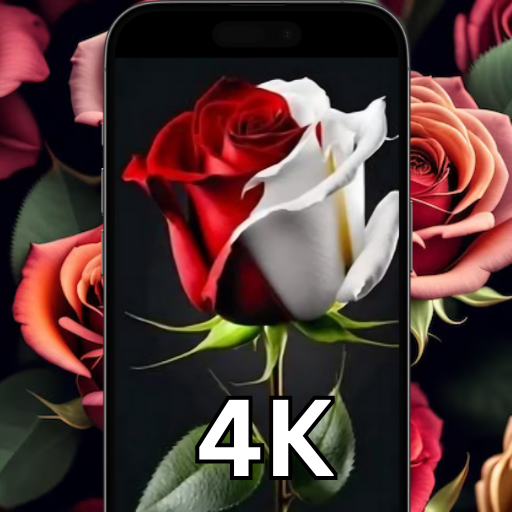 Flower wallpaper live rose HD logo