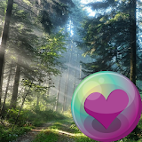 Trees & Forest HD Wallpapers icon