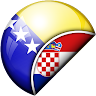 Bosanski - Hrvatski Prevodilac
