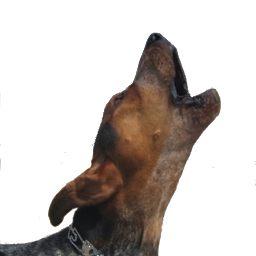 Barking Dog Sounds: Download & Review