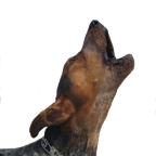 Barking Dog Sounds logo