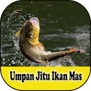 Umpan Mancing Ikan Mas Harian