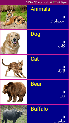 Android application Learn English From Arabic screenshort