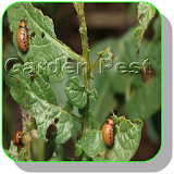 How to control garden pest by Home remedies icon