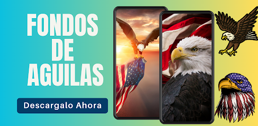 Imagenes De Aguilas HD