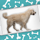 スクリーン上の犬：ワンワンジョーク- iDog - Androidアプリ