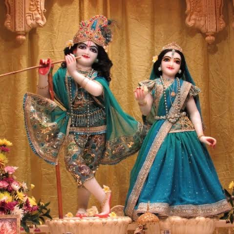 Abhishek Rawal