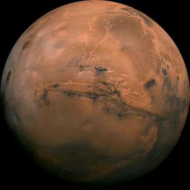 The Martian