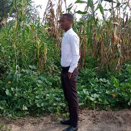 Festo Ndaki