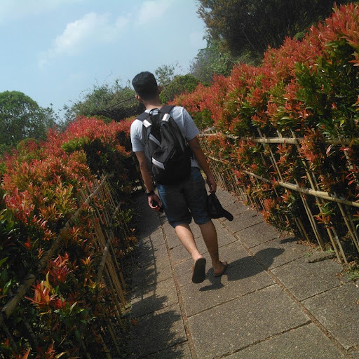 Sulthan Syaddad